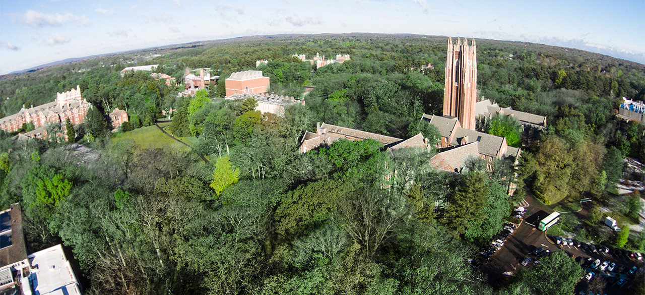 aerial view of Wellesley's campus