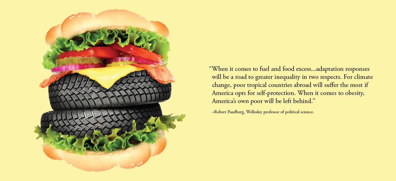 A hamburger with tires replacing the meat, an image from Robert Paarlberg's new book