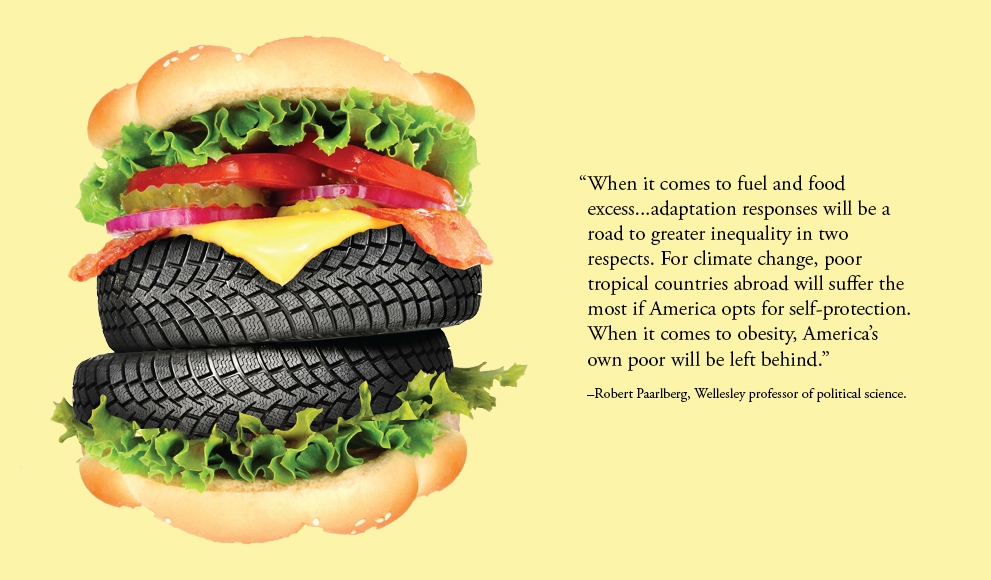 A hamburger with tires replacing the meat, an image from Robert Paarlberg's new book