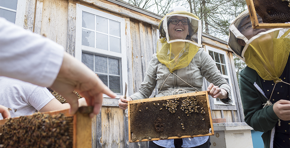 Wellesley Professor Heather Mattila near honey bee hives
