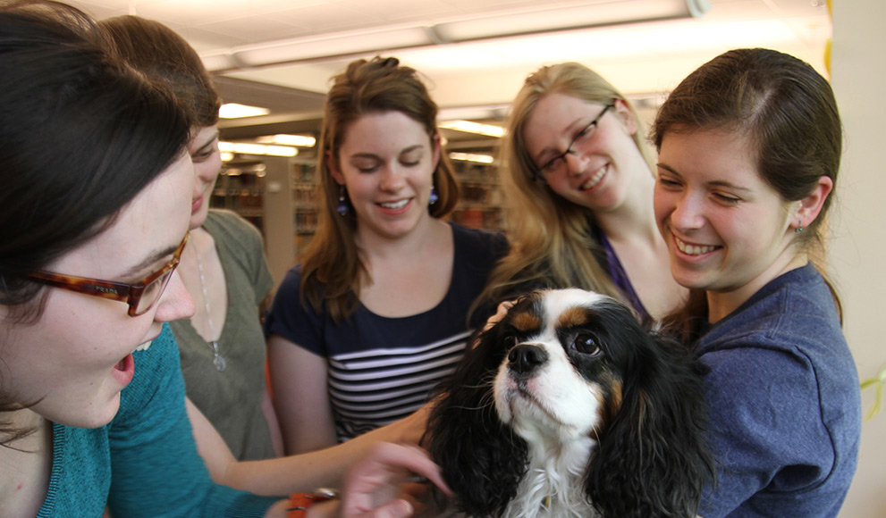 Students visit with a therapy dog during reading period.