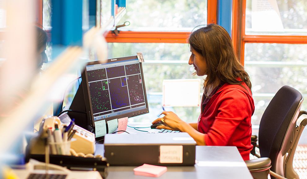 Postdoctoral fellow Kalpana D. Acharya, working in the Tetel lab in the Science Center