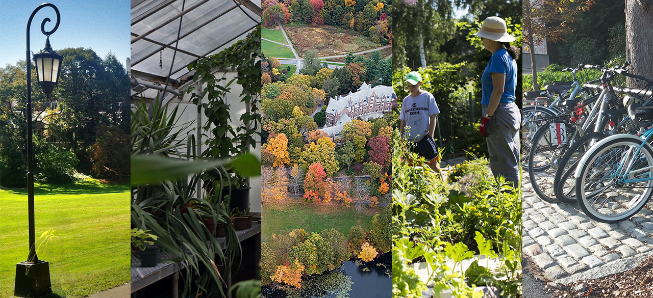 Five photo panels depicting sustainability initiatives at Wellesley.