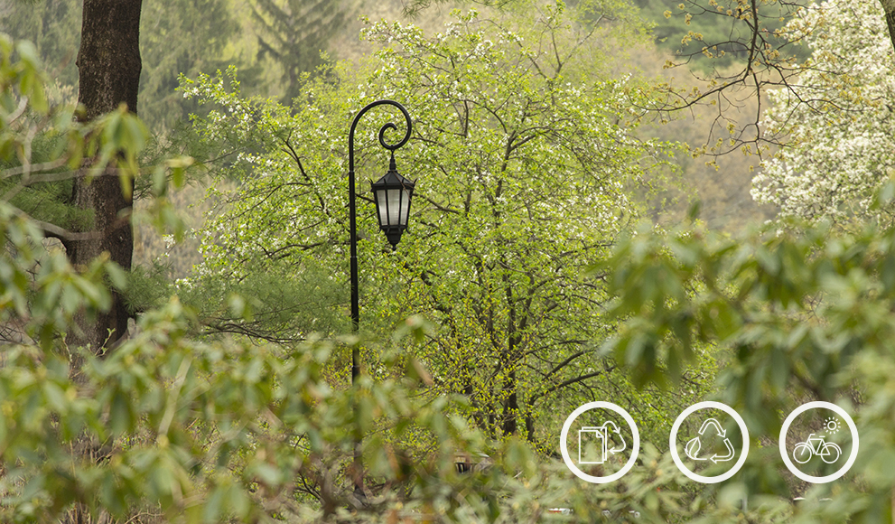 One of Wellesley's iconic lampposts amid campus greenery 