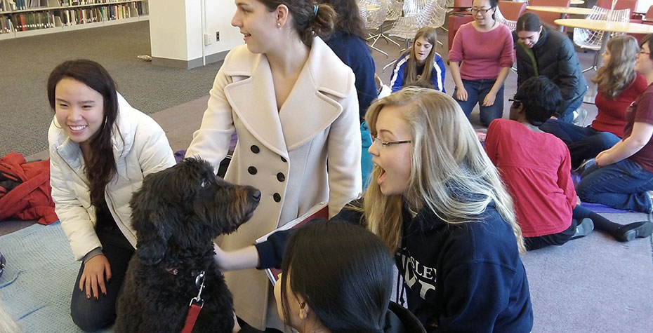 students gather raound Portuguese water dog