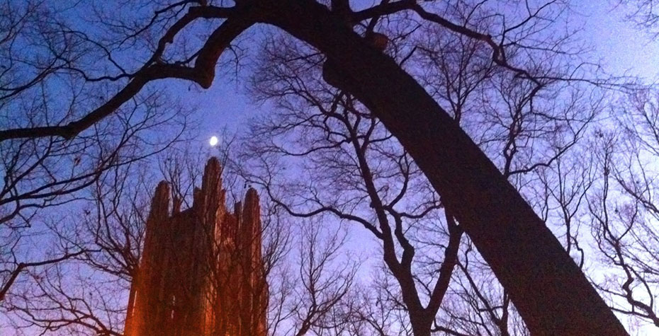 moon over Galen Stone Tower in twilight sky with silhouetted trees, by Kat Chen