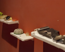 photo of trash objects organized on white styrofoam shelves, against a dark red-orange wall