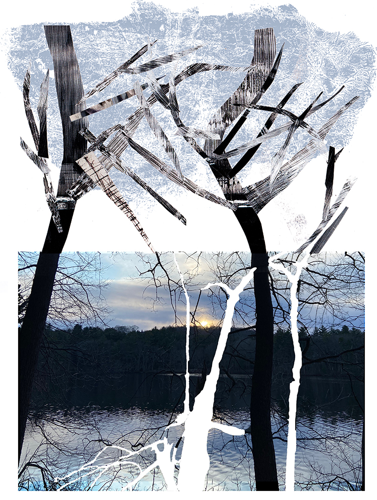 print with sunset photo below, blue and white textured print above, black printed tree branches over upper print, white outlined trees over lower