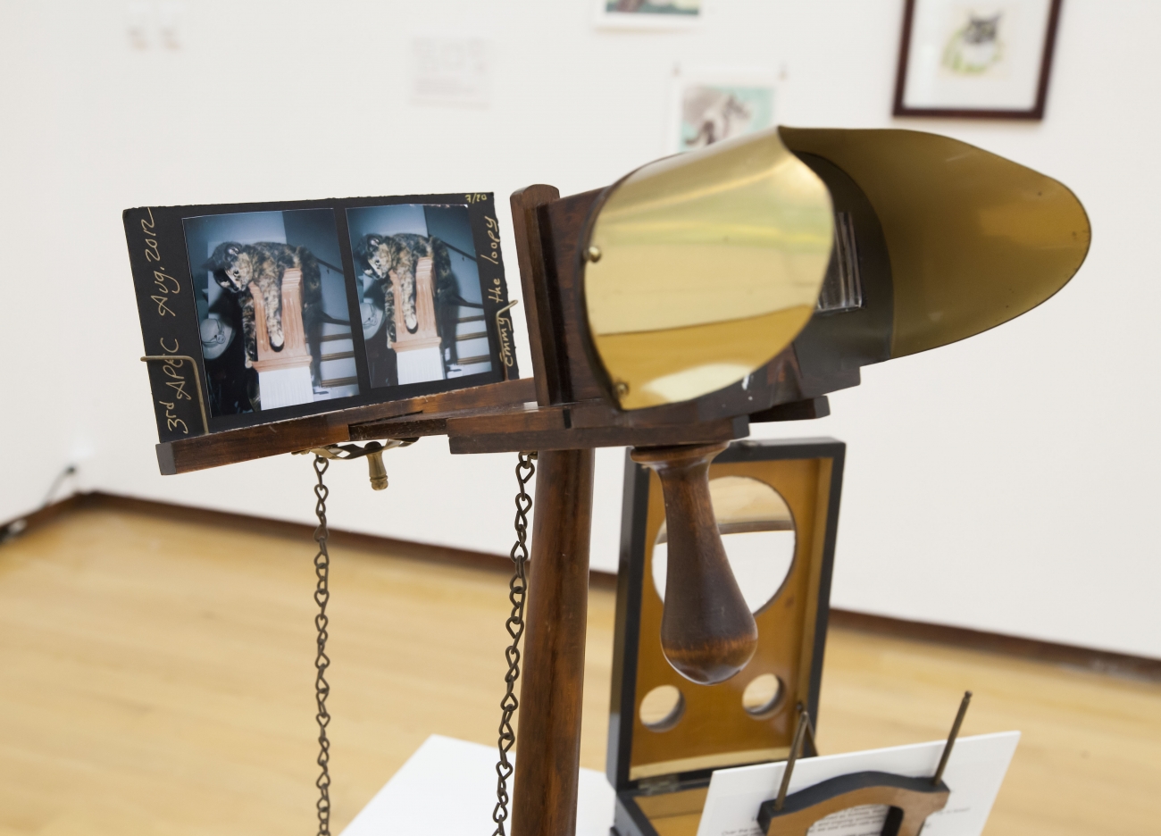 a stereoscope for viewing cat photos by Kimberley A Shaw