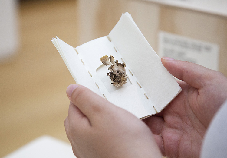 hands holding a tiny handmade book with a cluster of tiny mushrooms set into the center page