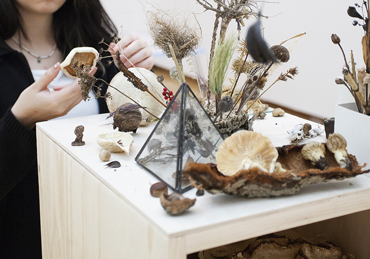 a wooden surface covered in organic specimens like dried mushrooms and seedpods; in the background, a person's hands pick up and examine a mushroom