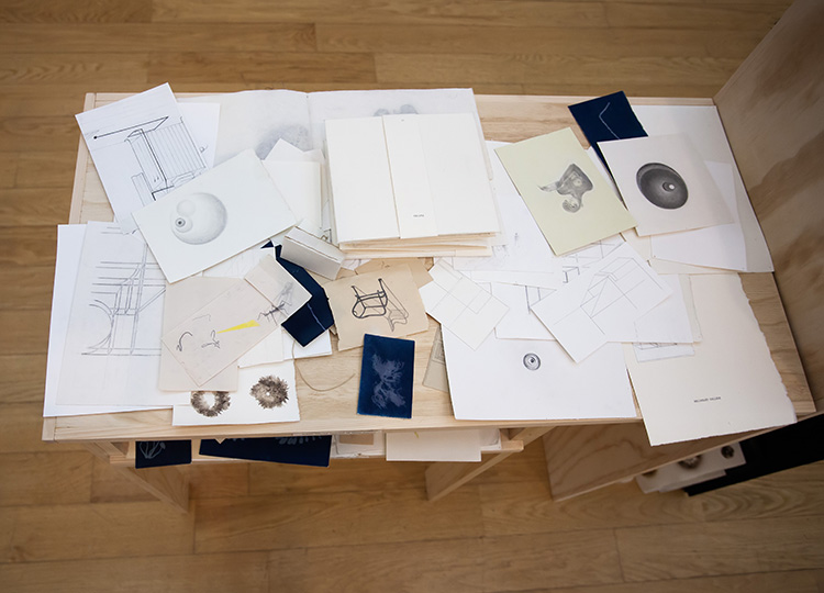 view from above of a table surface covered in drawings, cyanotypes, and mushroom spore prints