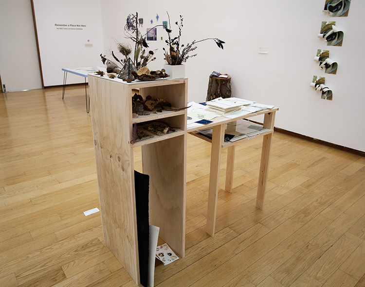 a wooden piece of furniture with shelves and flat table-like surfaces, covered in papers and organic specimens like dried mushrooms