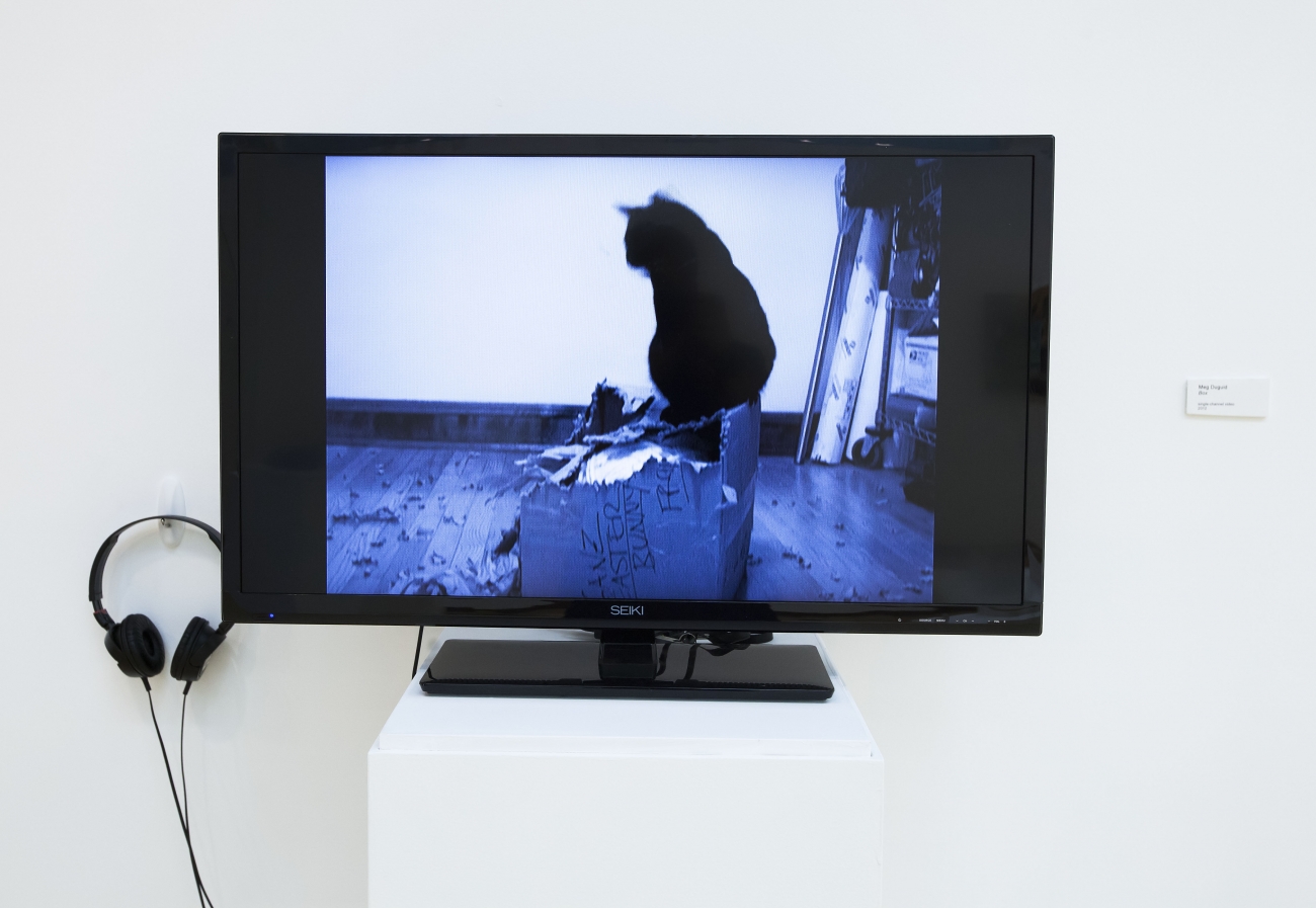 a video piece by Meg Duguid