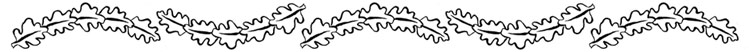 black line drawing of oak leaves forming a border