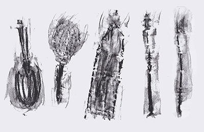 black on white prints of everyday objects