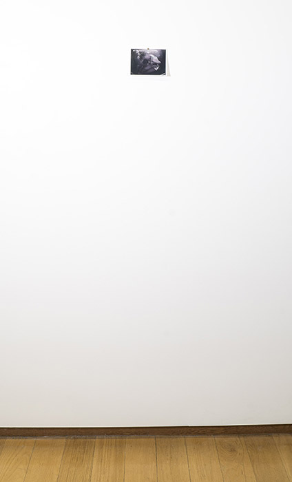 a very small black and white surveillance-style photo mounted on a white gallery wall