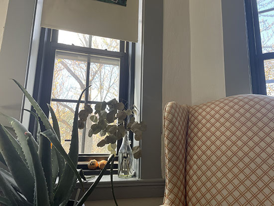 a film still of an interior scene showing a window, indoor plants, and a patterend armchair