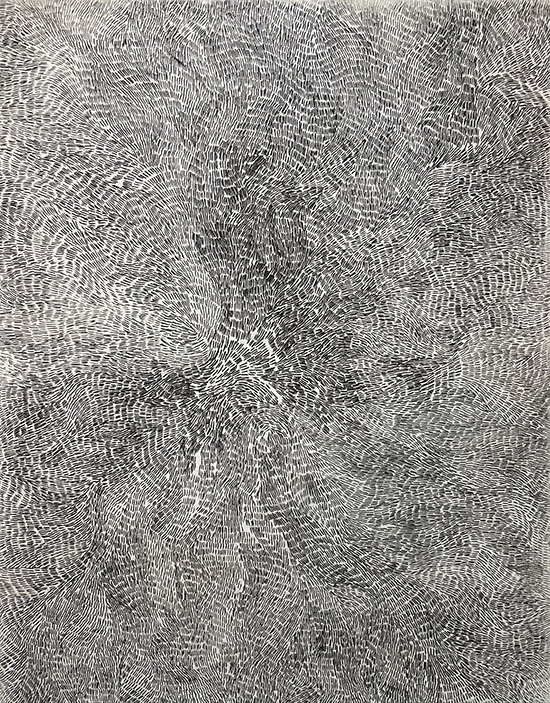 drawing that consists of a pattern of small black lines covering the entire page