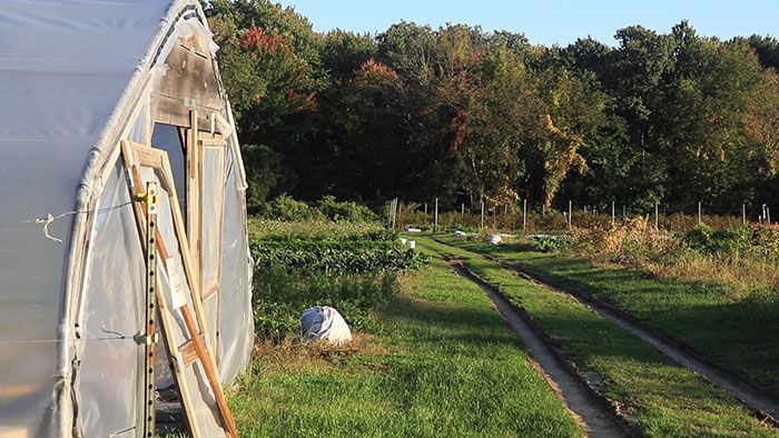 photo of a plastic sheeting greenhouse at left, with a two-track path to the right leading into the distance through green grass and fields 