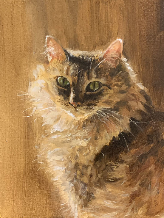 realistic painting of a fluffy brownish cat with green eyes. The cat is dramatically rim lit on a sienna-colored background