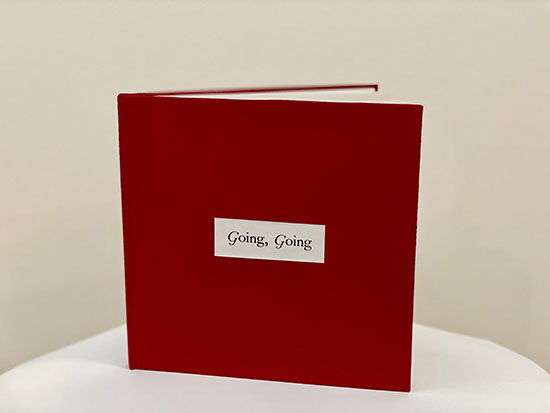 a handmade book standing up on a table. Its cover is red and has the black text 'Going, Going' in a white inset in the center