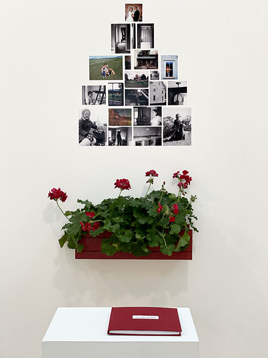 a vaguely triangular arrangement of photographs on a wall; below them is a red window box with live red flowers and greenery in it; in front of them is a pedestal with a red book on it