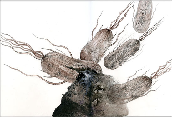 illustration of cells breaking apart