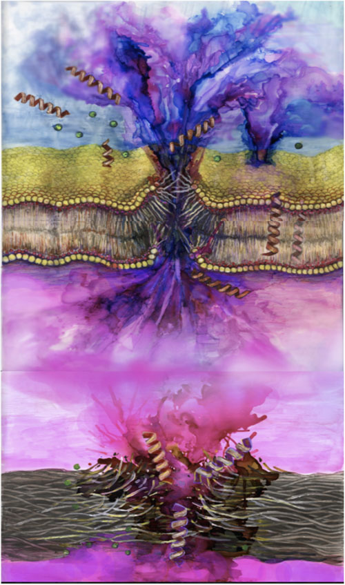 colorful illustration of cellular forms