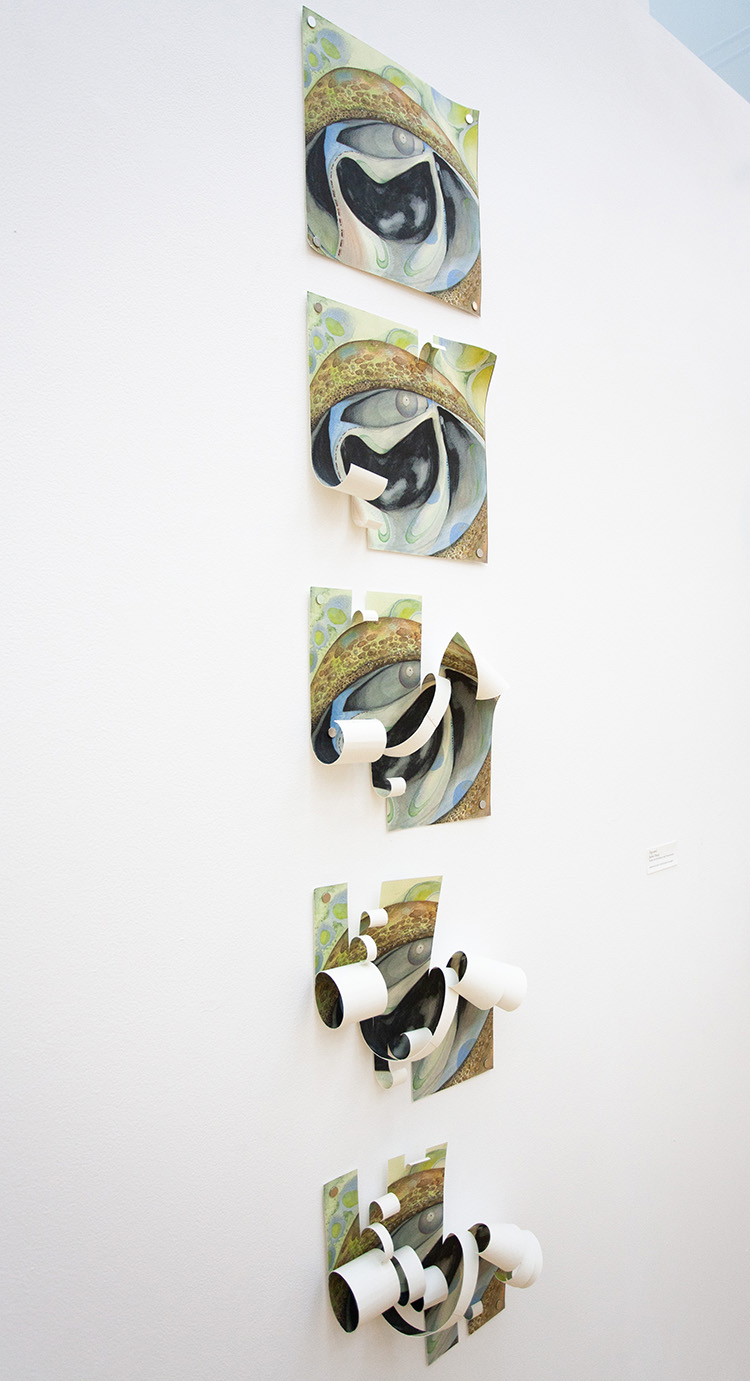 vertical stack of 5 square paintings showing abstract organic forms, increasingly cut and curled from top to bottom