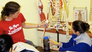 studying a skeleton in sports medicine class