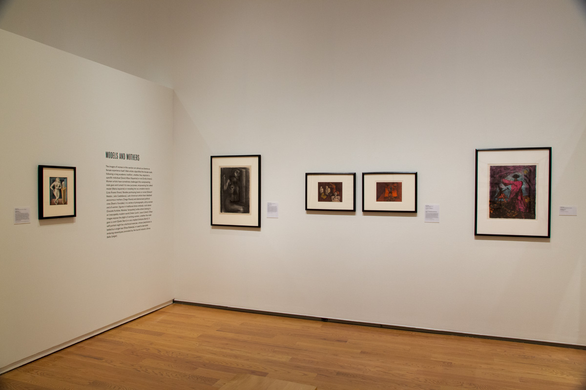 Installation view, Art_Latin_America: Against the Survey, Davis Museum at Wellesley College, Wellesley, MA, Spring 2019.