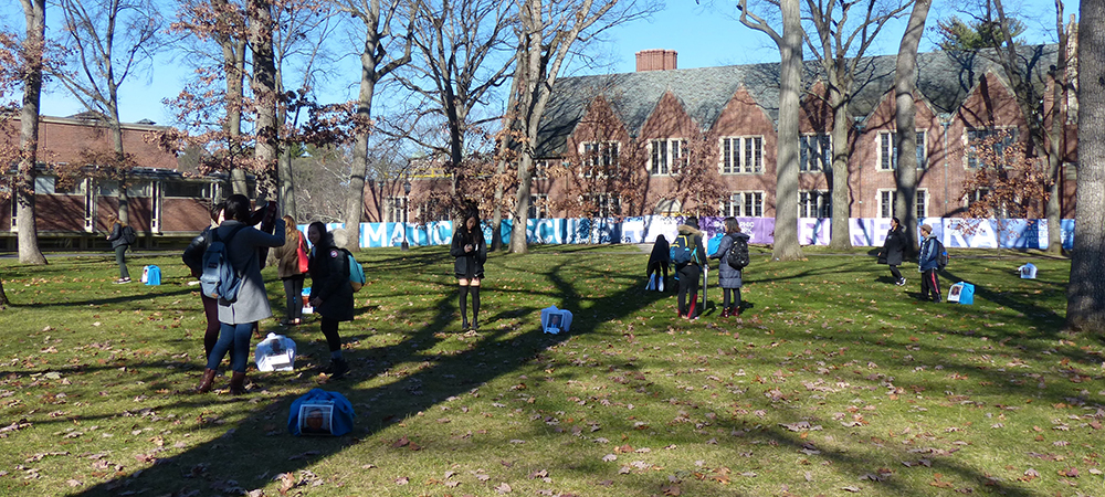 Wellesley Academic Quad with blue and white bojagi and people looking at them.