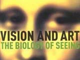 Vision and Art" The Biology of Seeing