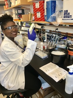 Picture of Rhoda Tano-Menka in her lab.