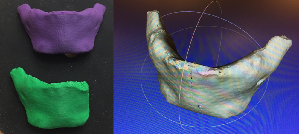 1 image of 3D printed Hominin Mandibular, 1 image of Hominin Mandibular in 3D modeling program