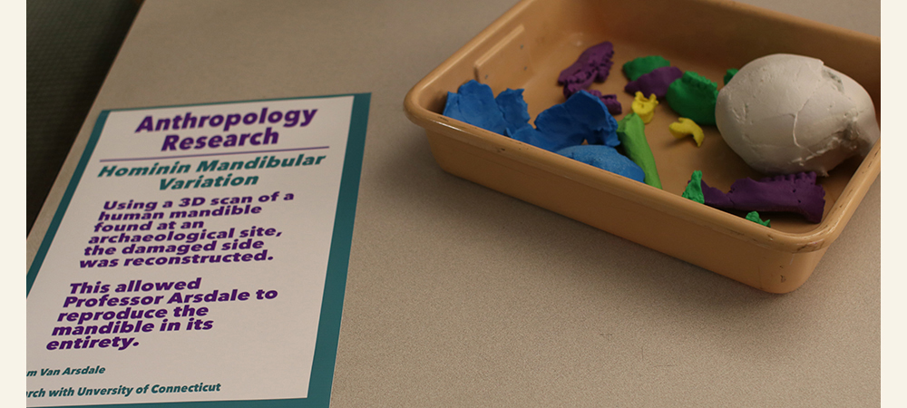 Colorful 3D printed bones next to an explanation of the anthropology research project