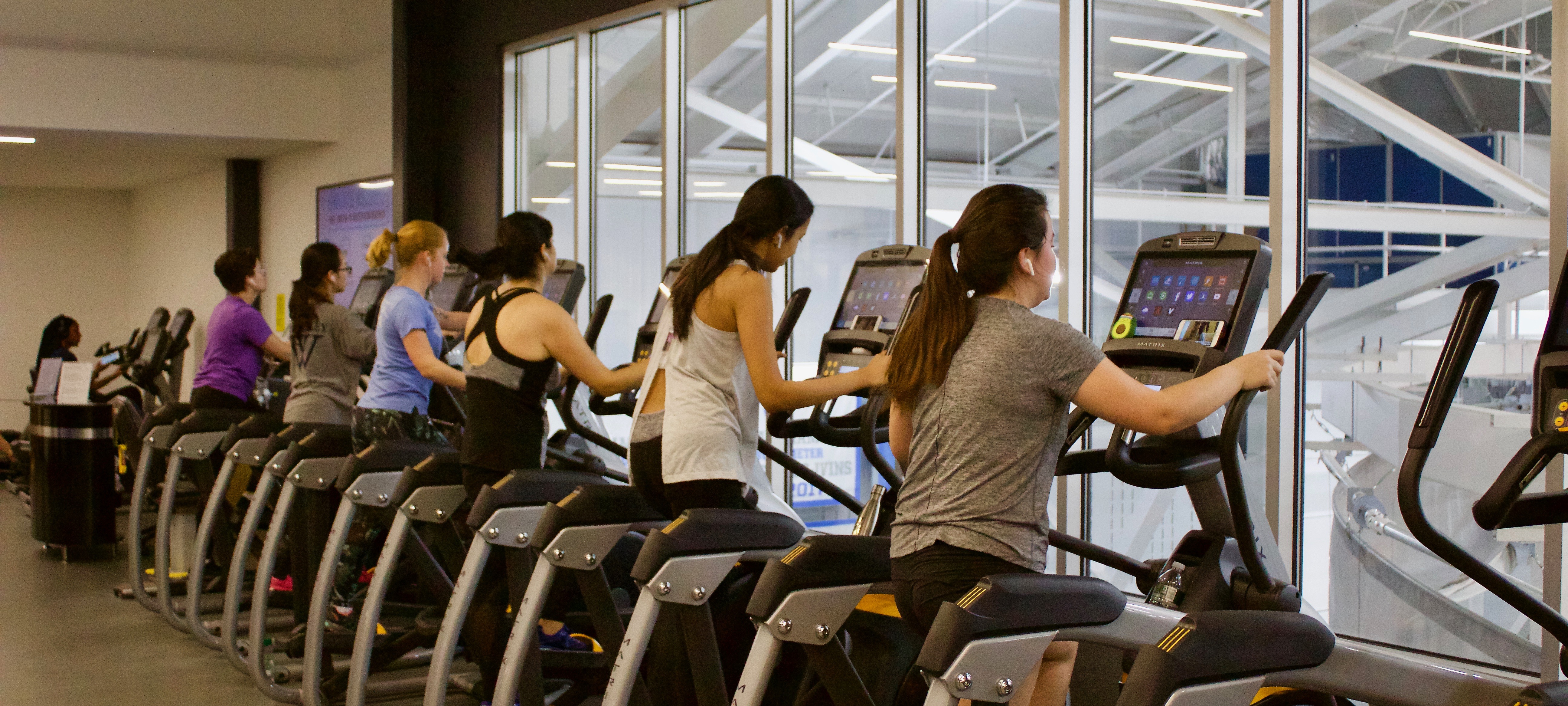 fitness center users on ellipticals 