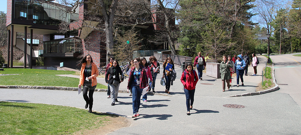 Students walking to class from the Lulu Campus Center 