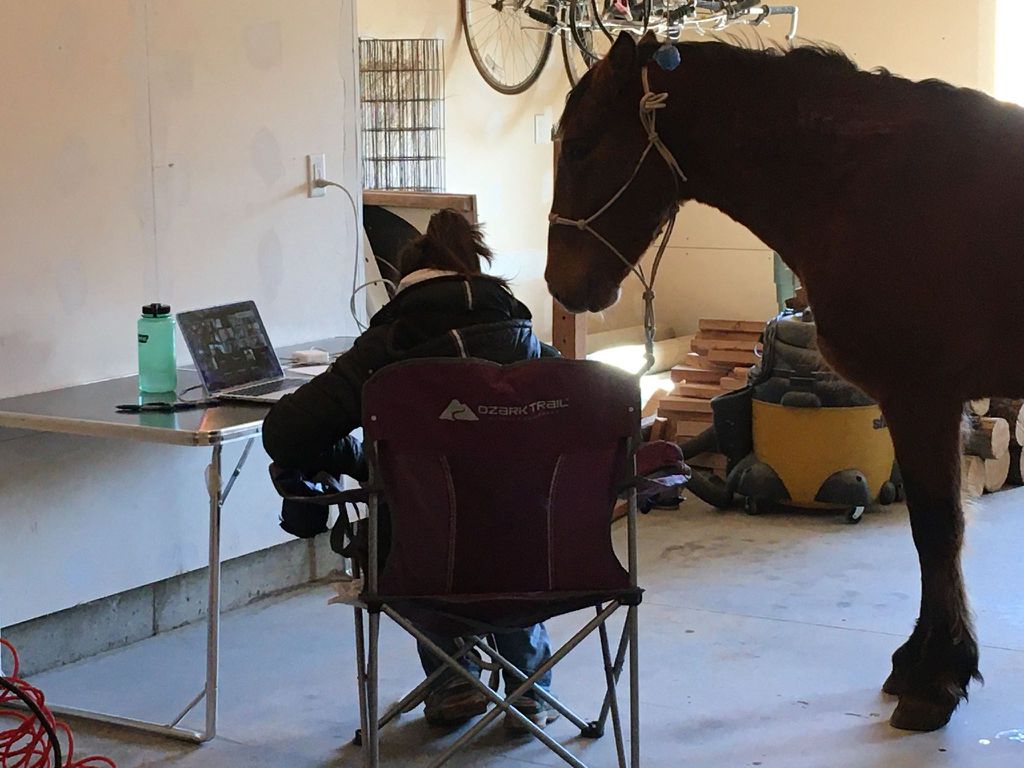 Emma Miller '20 and her horse Mustang at a remote class in Spring 2020
