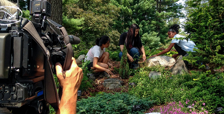 view over camera man's shoulder of three students tending to plants 