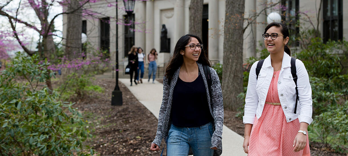 Picture of students, walking, path, flowering tree.