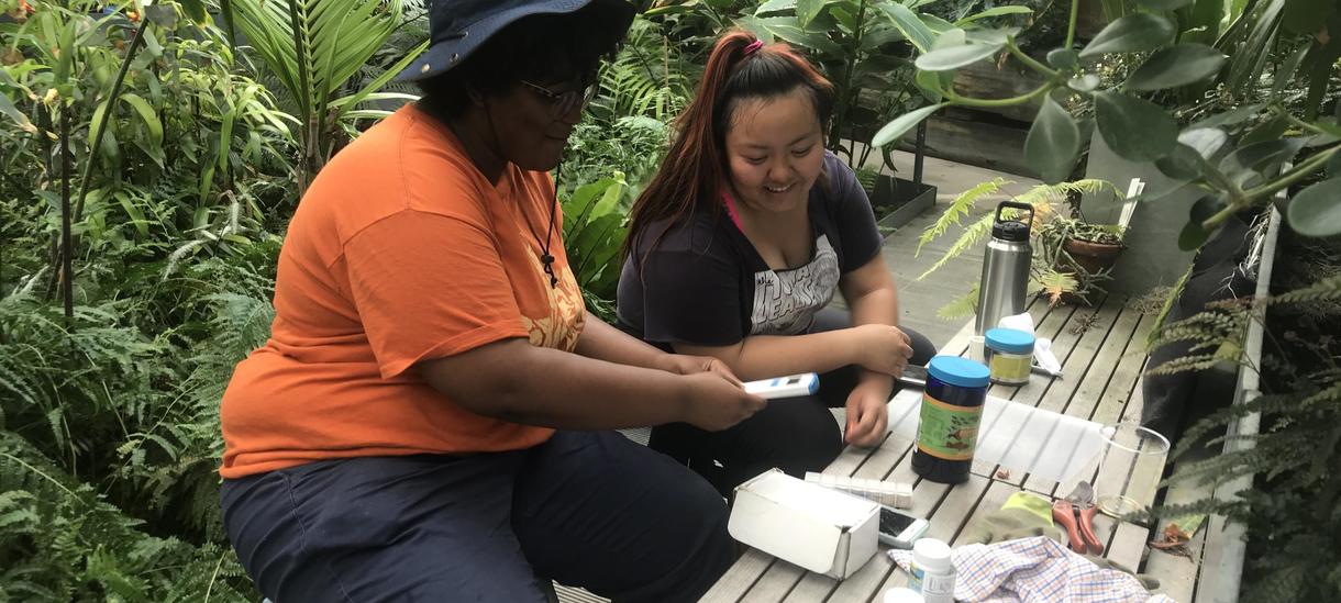 Students test water chemistry in greenhouse