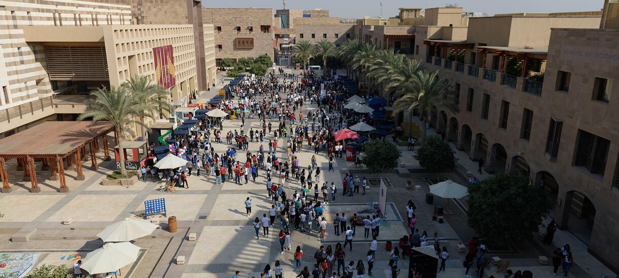 American University of Cairo