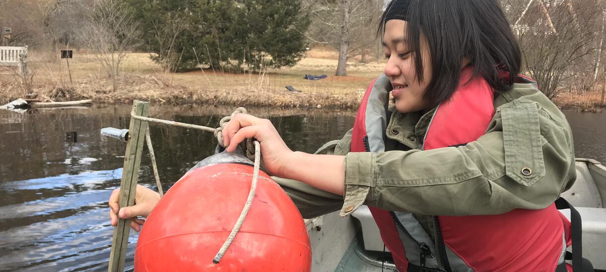 Chaise delays the chain