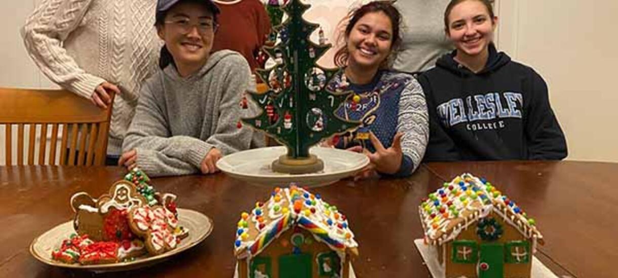Casas de jengibre/Gingerbread houses