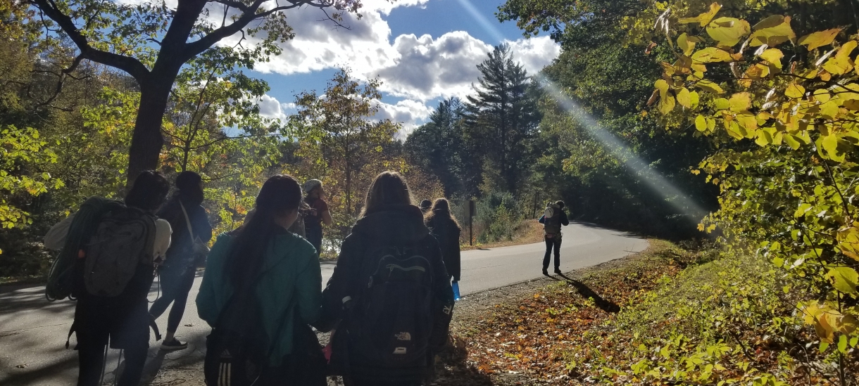 A group of students hiking