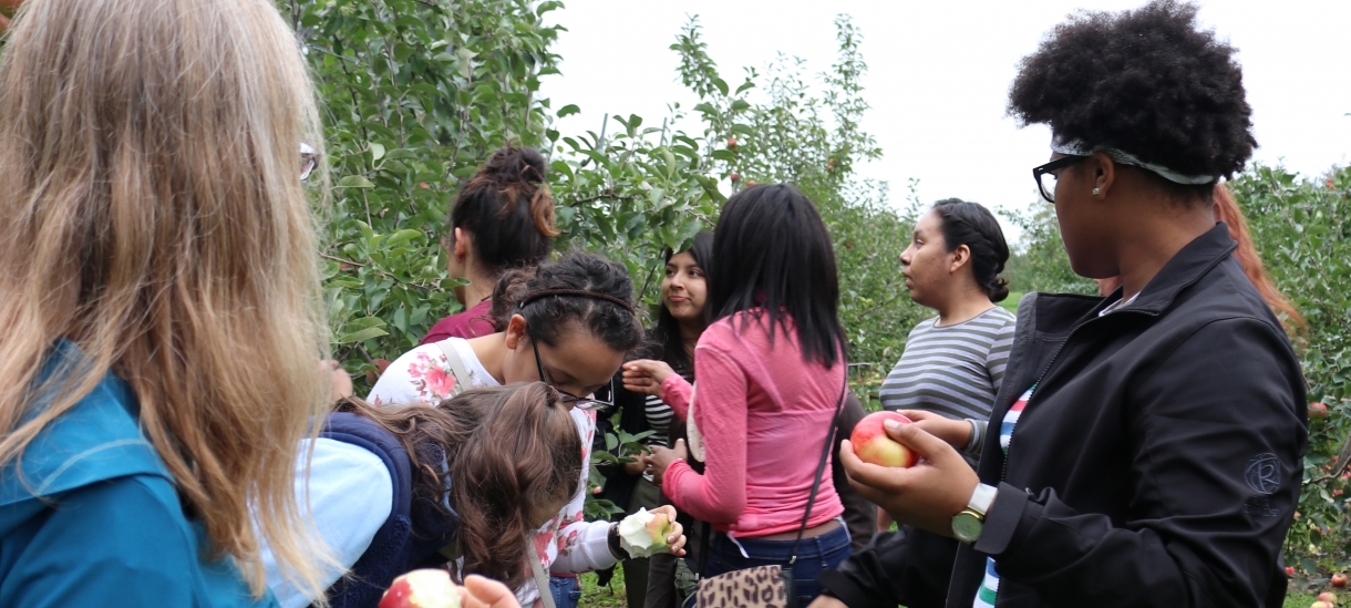 Students picking apples