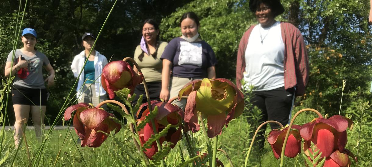Students visit bog garden in bloom, on path between H. H. Hunnewell Arboretum and Alexandra Botanic Gardens
