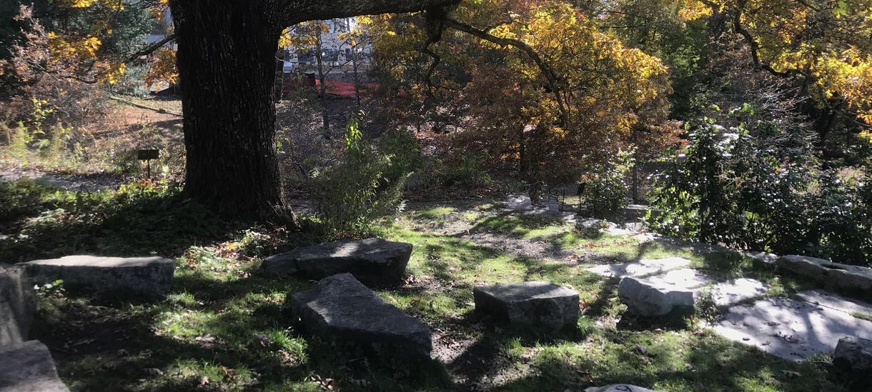 Edible Ecosystem outdoor classroom sitting stones, in Fall